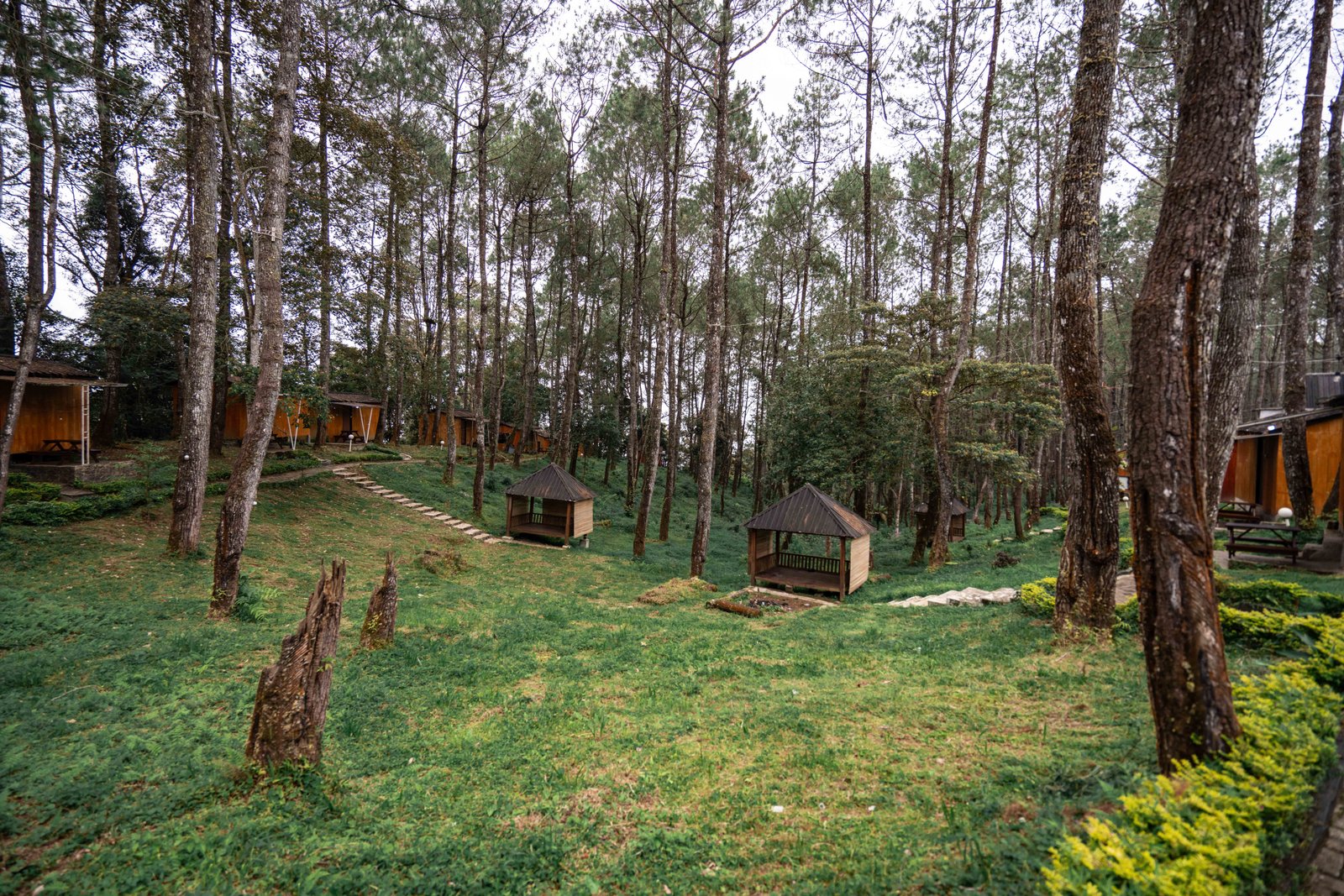 Jalur batu menuju padang rumput berkabut